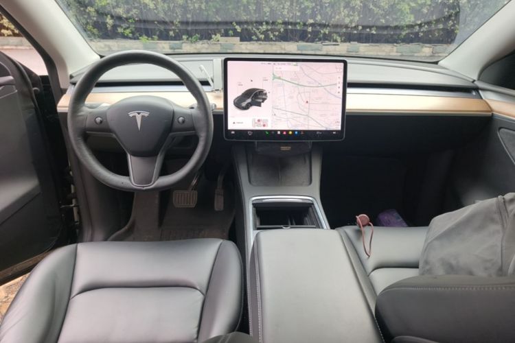 Tesla Model Y 2021 car image #10