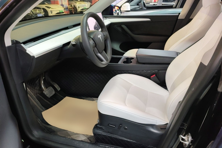 Tesla Model Y 2022 car image #19