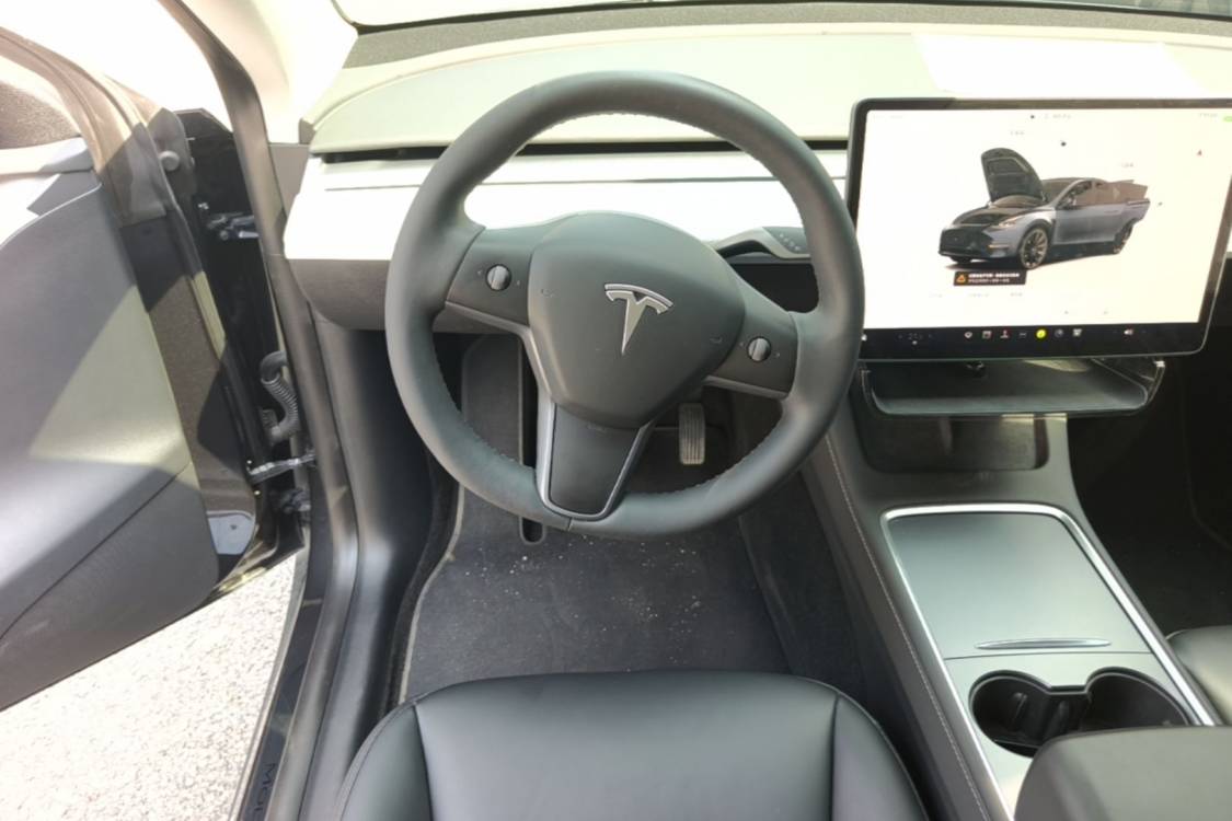 Tesla Model Y 2024 car image #16