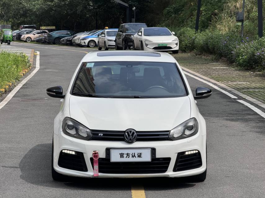 大众 高尔夫(进口) 2013 汽车图片 #2