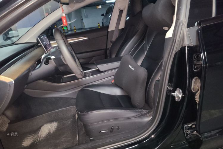 Tesla Model 3 2021 car image #17