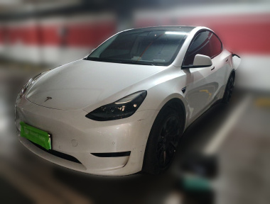 Tesla Model Y 2022 Tesla Model Y 2022 car image