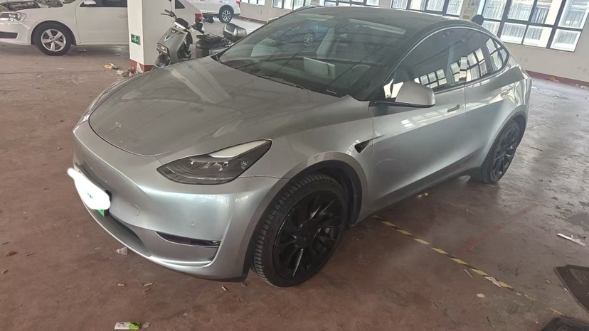 Tesla Model Y 2021 Tesla Model Y 2021 car image