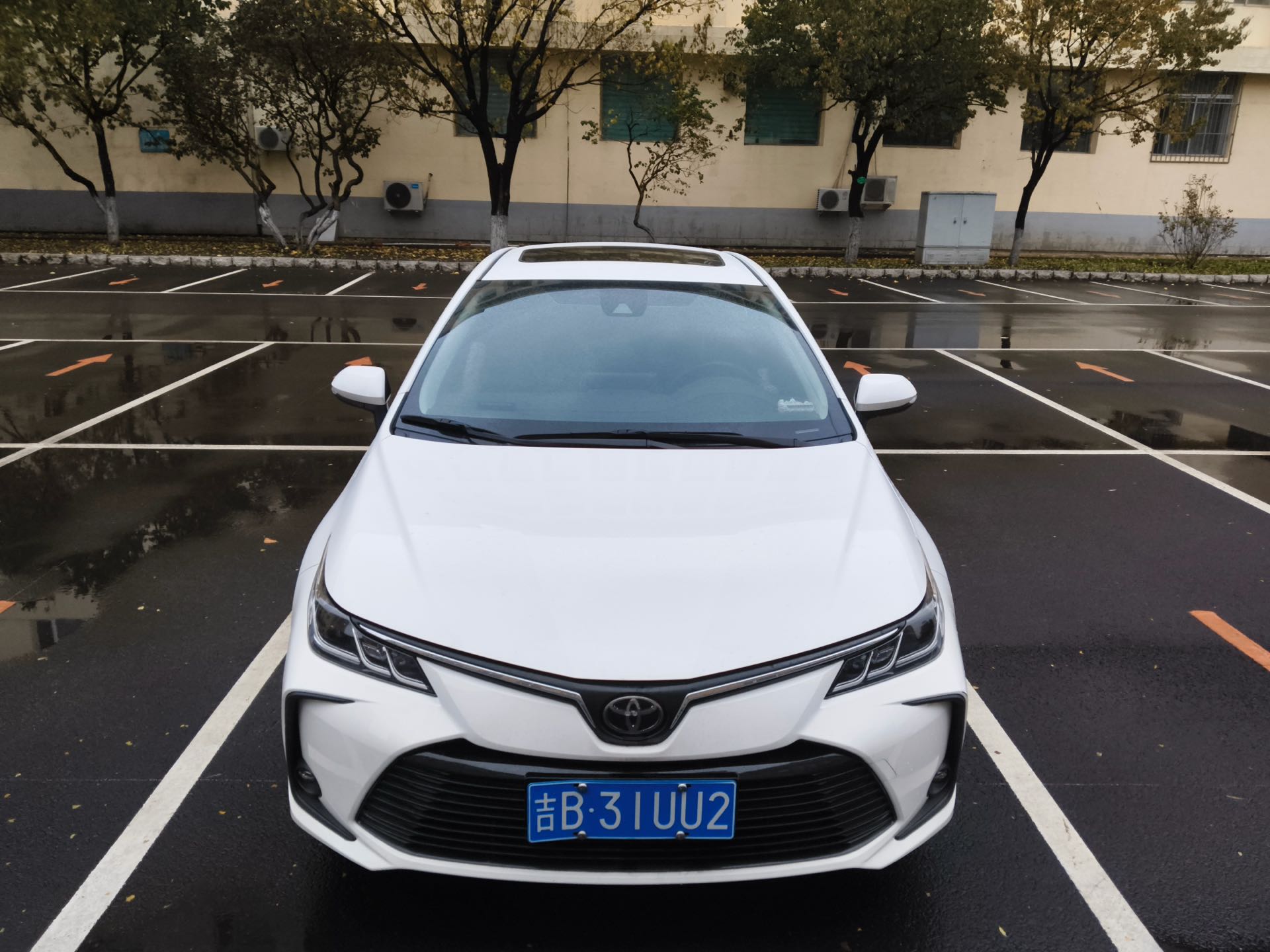 Toyota Corolla 2023 #2 Toyota Corolla 2023 car image #2