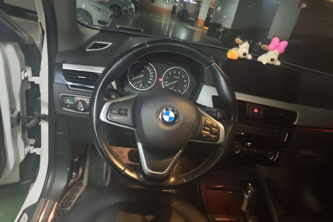 BMW X1 2017 #22 BMW X1 2017 car image #22