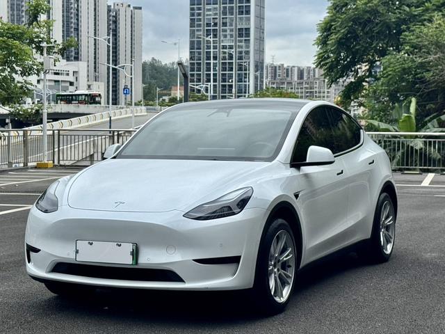 Tesla Model Y 2023 car image #10