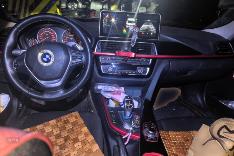 BMW 3 Series 2017 car image #11