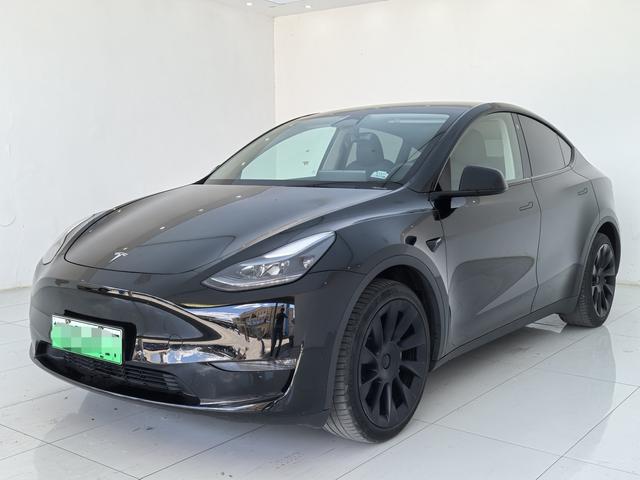 Tesla Model Y 2023 immagine di auto #16