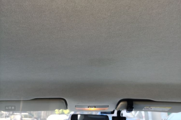 Volkswagen Santana 2020 car image #20