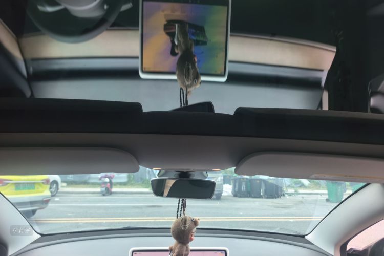 Tesla Model 3 2021 car image #20