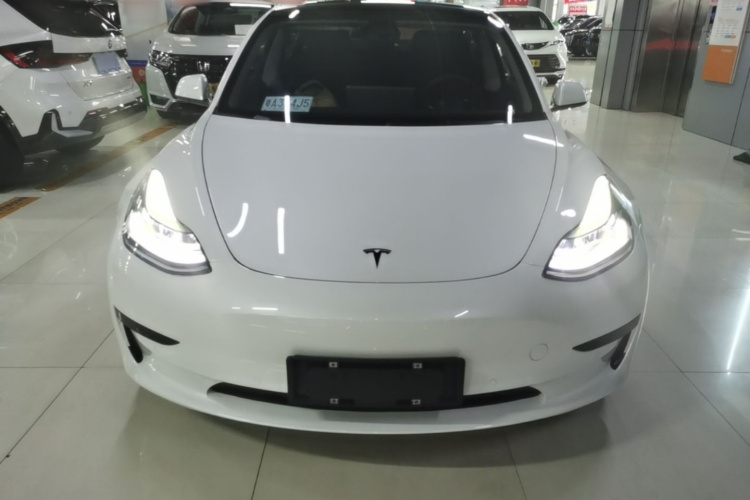 Tesla Model 3 2023 #3 Tesla Model 3 2023 car image #3