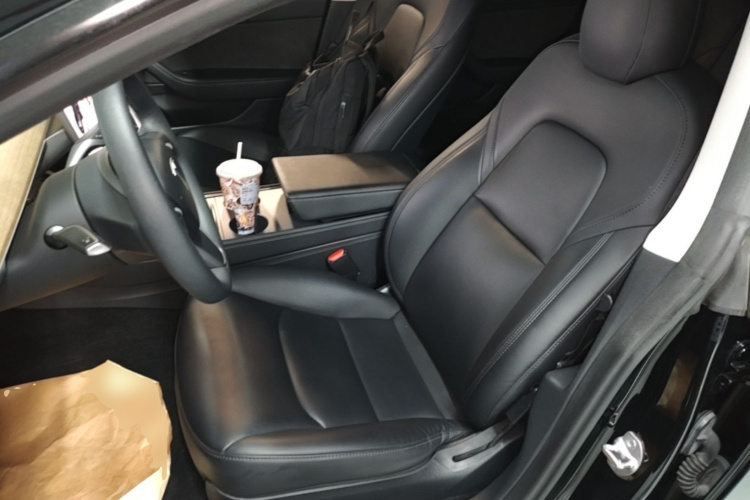 Tesla Model 3 2021 car image #15