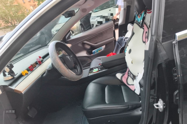 Tesla Model 3 2020 car image #17