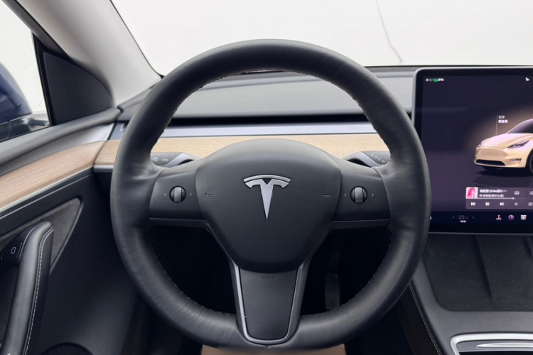 Tesla Model Y 2021 #12 Tesla Model Y 2021 car image #12