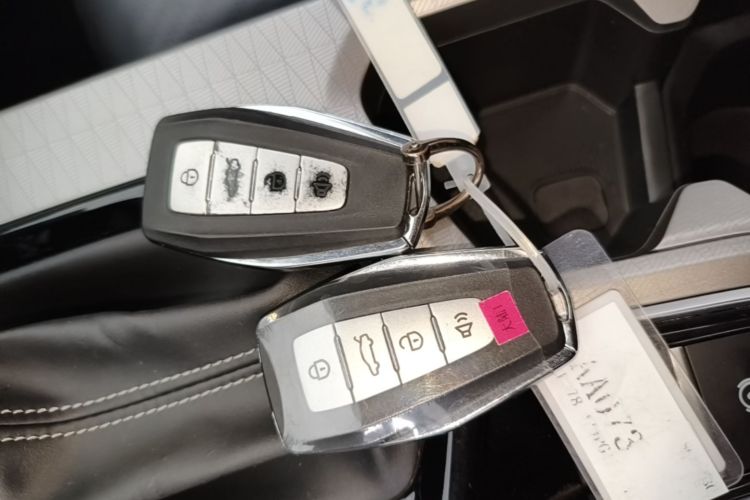 GEELY Emgrand 2024 immagine di auto #9
