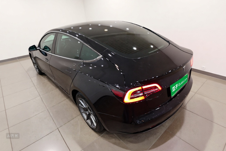 Tesla Model 3 2021 car image #5