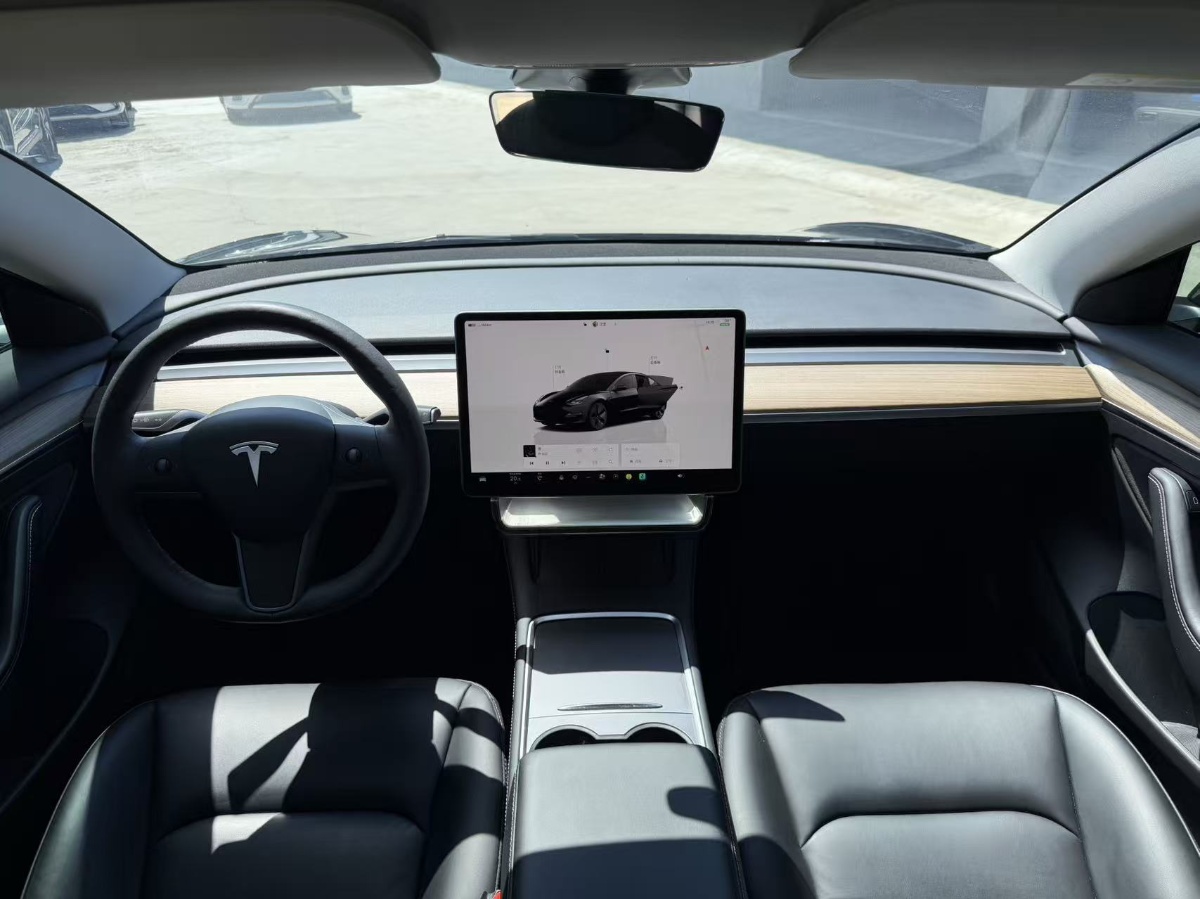 Tesla Model 3 2023 car image #10