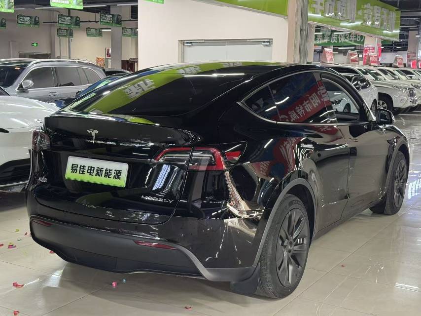Tesla Model Y 2023 #6 Tesla Model Y 2023 car image #6
