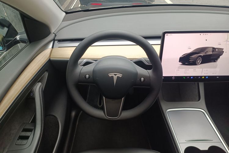 Tesla Model Y 2023 car image #15