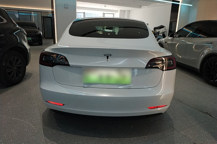 Tesla Model 3 2020 #6 Tesla Model 3 2020 car image #6