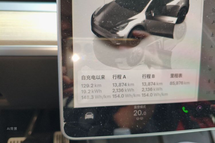 Tesla Model Y 2022 car image #13