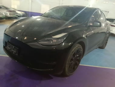 Tesla Model Y 2022 car image 