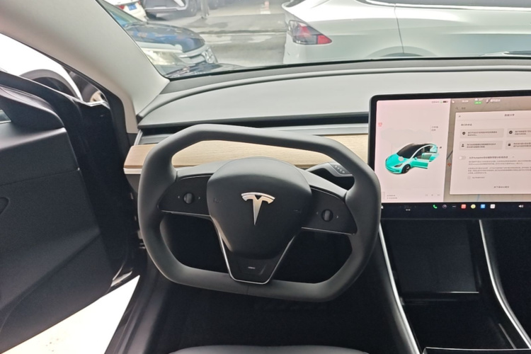 Tesla Model 3 2020 car image #30
