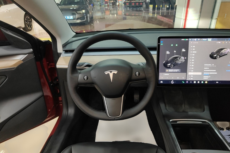 Tesla Model 3 2021 car image #11