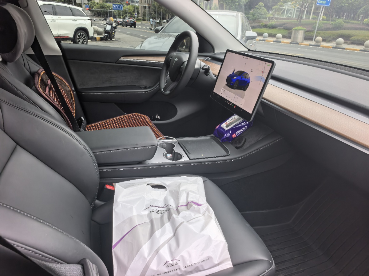 Tesla Model Y 2024 car image #4