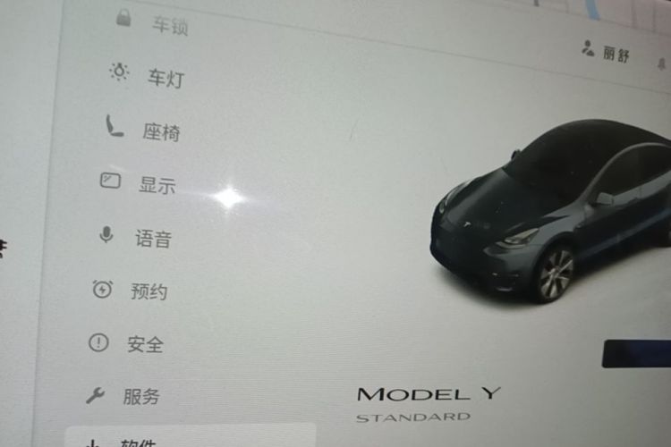 Tesla Model Y 2021 immagine di auto #12