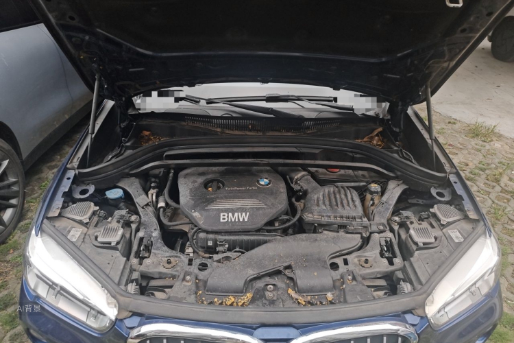 BMW X1 2019 car image #22