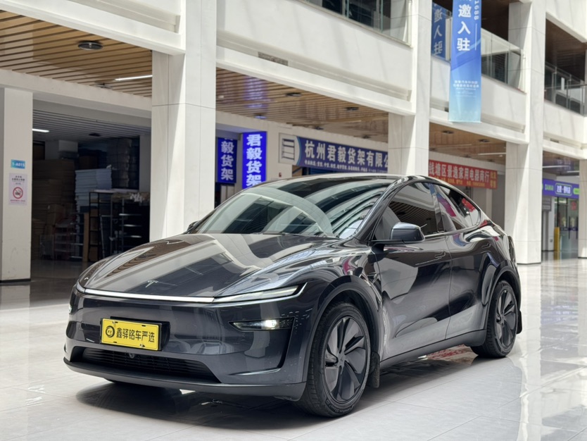 Tesla Model Y 2025 car image 