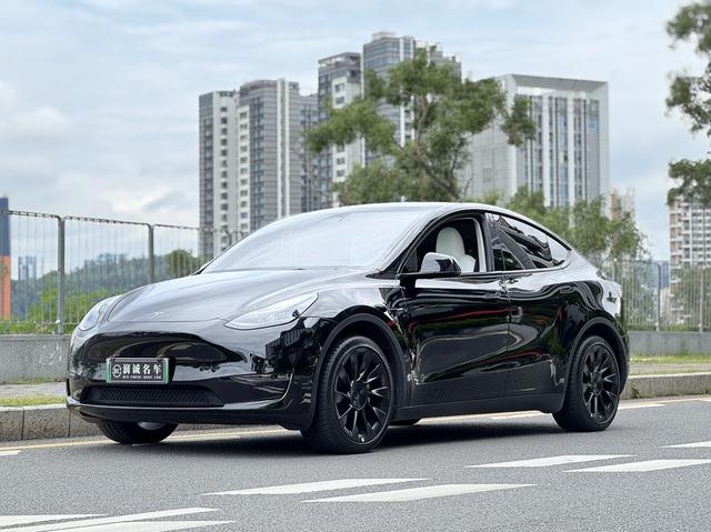 Tesla Model Y 2023 car image #20