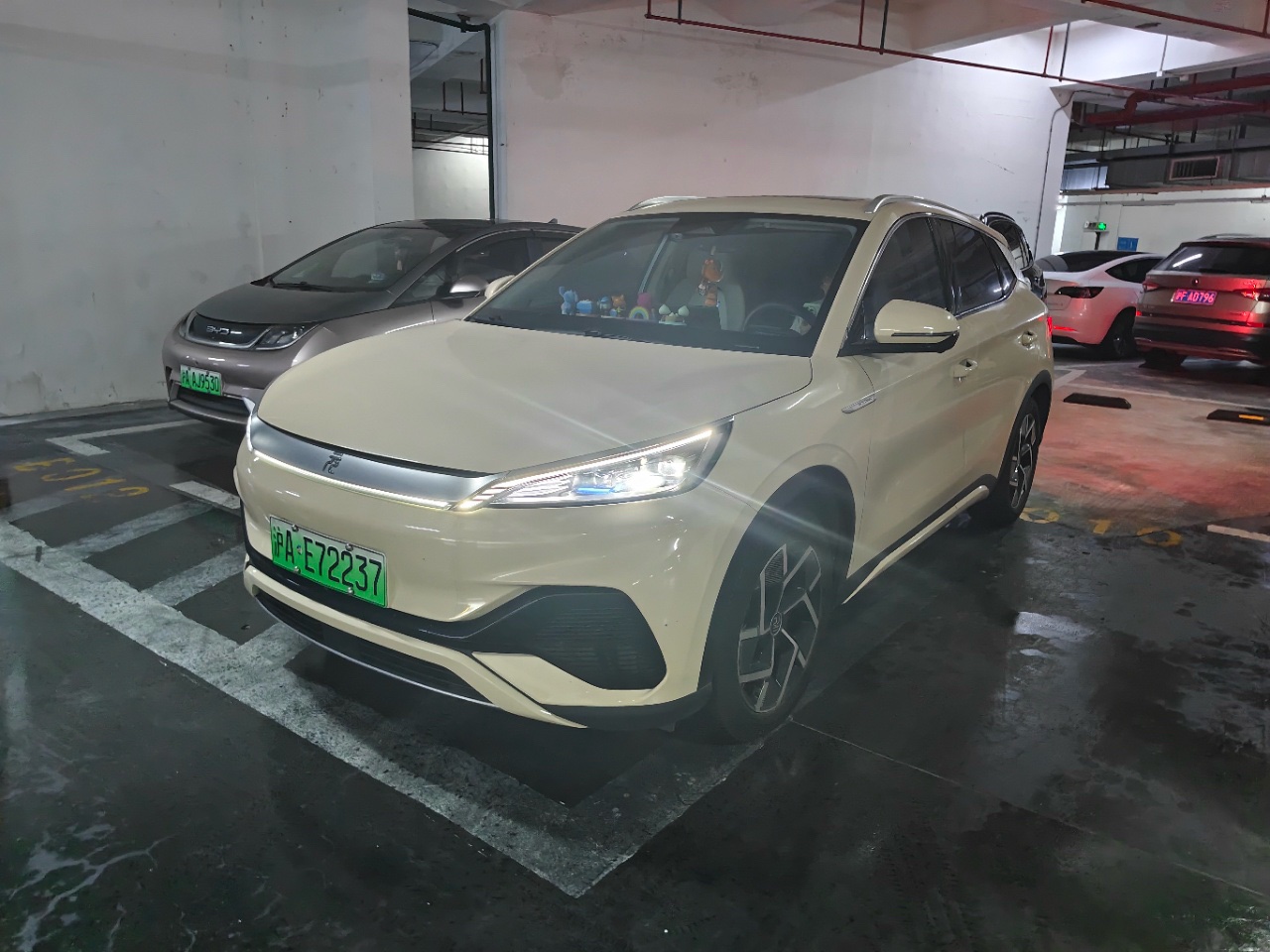 BYD Yuan Plus 2024 car image 