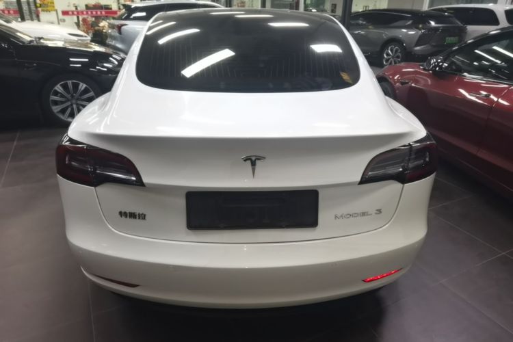 Tesla Model 3 2020 car image #6
