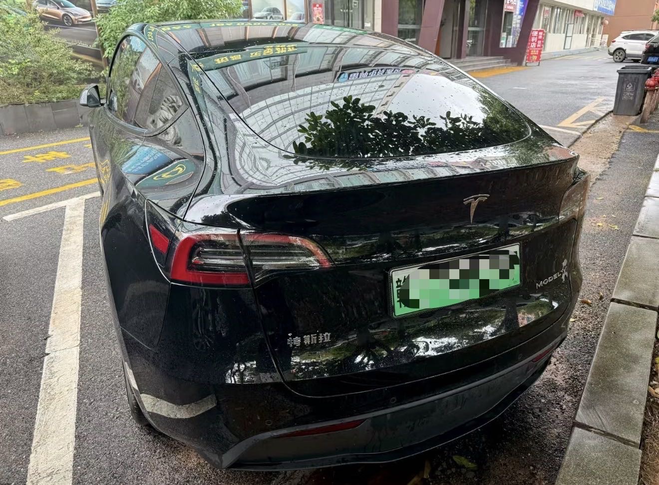Tesla Model Y 2023 #3 Tesla Model Y 2023 car image #3