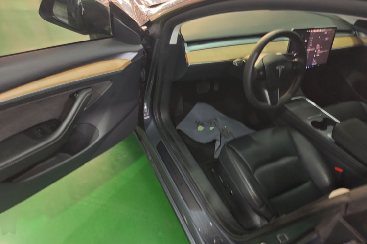 Tesla Model 3 2021 immagine di auto #16