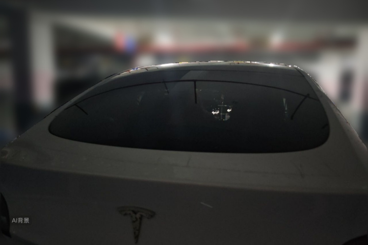 Tesla Model Y 2022 #6 Tesla Model Y 2022 car image #6