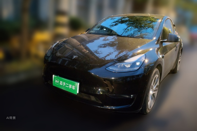 Tesla Model Y 2021 car image #2