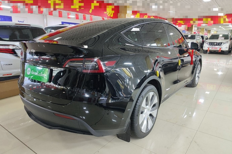 Tesla Model Y 2023 #5 Tesla Model Y 2023 car image #5