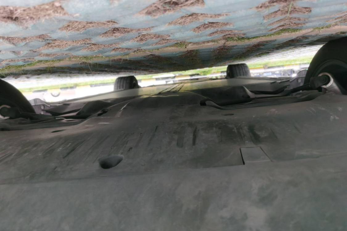 Tesla Model Y 2025 car image #14