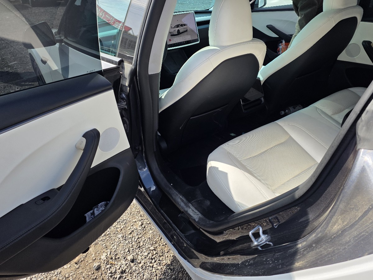 Tesla Model 3 2025 #2 Tesla Model 3 2025 immagine di auto #2