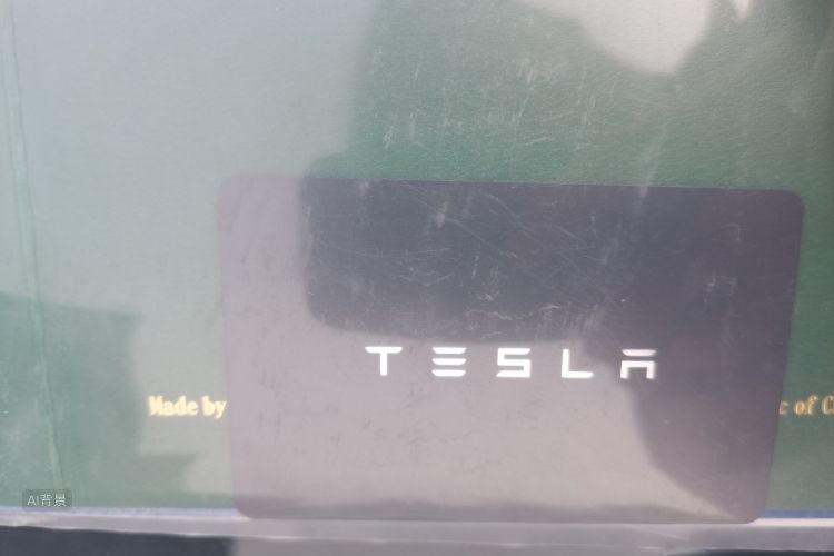 Tesla Model 3 2021 #10 Tesla Model 3 2021 car image #10
