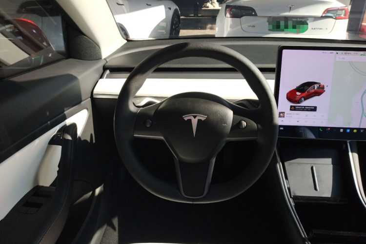 Tesla Model 3 2020 car image #11