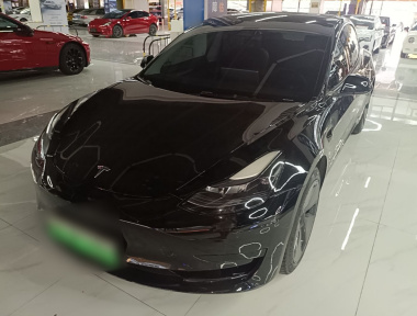 Tesla Model 3 2022 Tesla Model 3 2022 car image