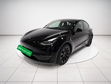 Tesla Model Y 2021 car image 