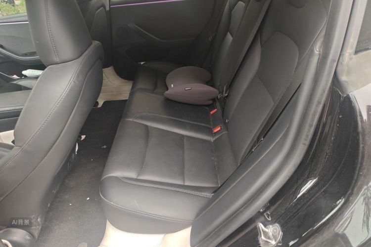 Tesla Model 3 2023 car image #19