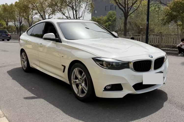 BMW 3 Series GT 2019 car image #4