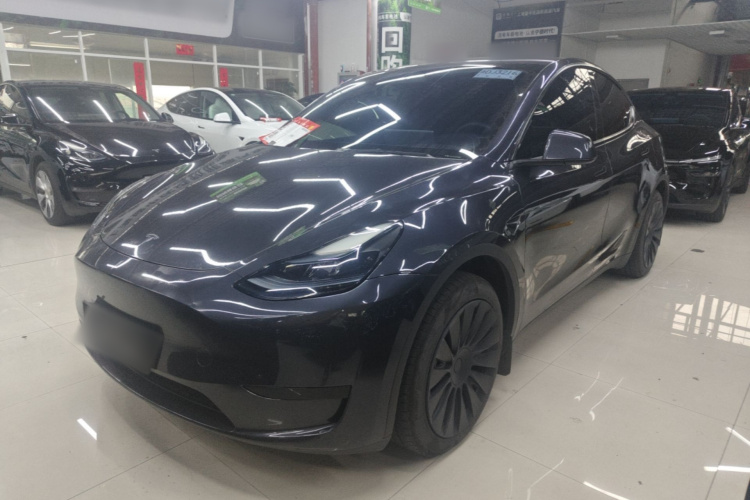 Tesla Model Y 2024 car image #2