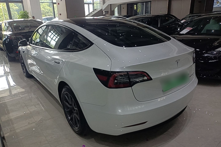 Tesla Model 3 2021 #5 Tesla Model 3 2021 car image #5